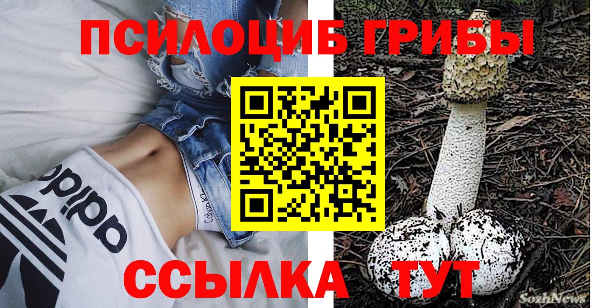 Будённовск  Псилоцибиновые грибы прущие грибы  Псилоцибиновые грибы Psilocybine cubensis  купить   Вход с VPN 