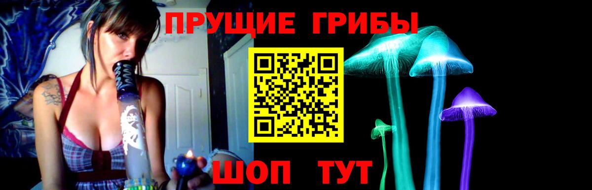 Псилоцибиновые грибы мицелий Будённовск
